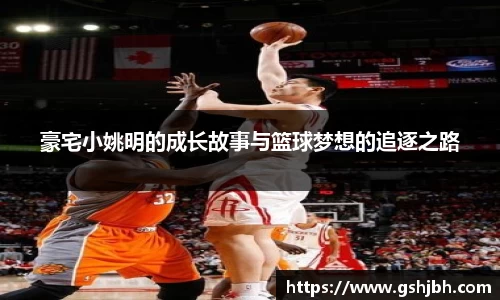 豪宅小姚明的成长故事与篮球梦想的追逐之路