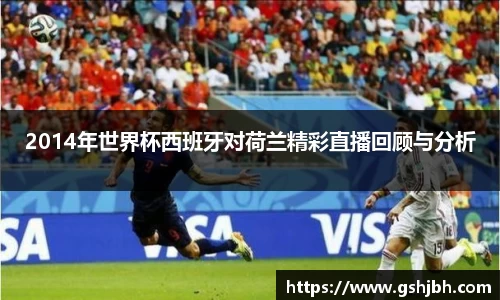 2014年世界杯西班牙对荷兰精彩直播回顾与分析
